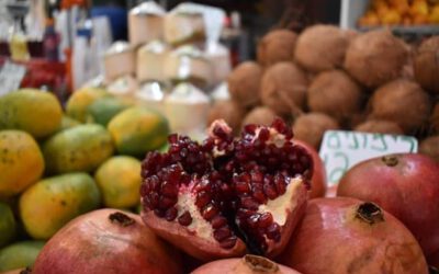 Happy Tu Bishvat
